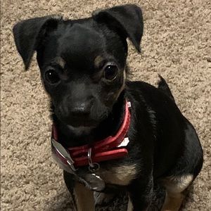 Meet your Posher, Ramona